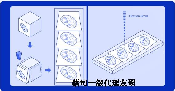 桂林蔡司桂林扫描电镜