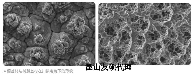 桂林蔡司桂林扫描电镜